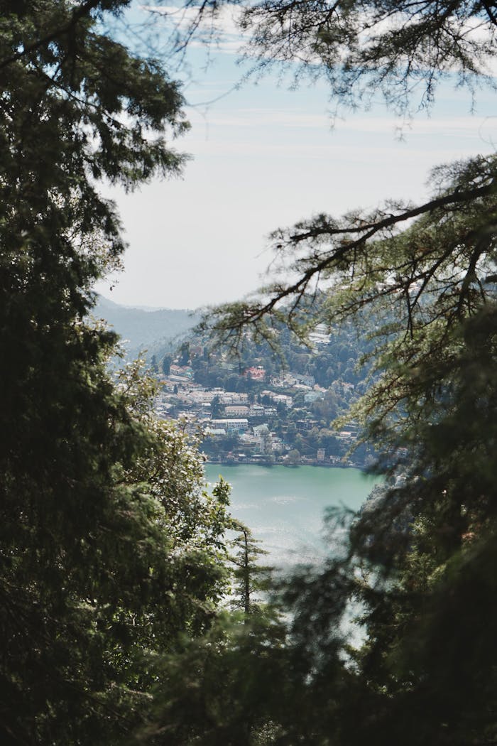 Beautiful mountain lake view through pine trees, serene nature landscape.